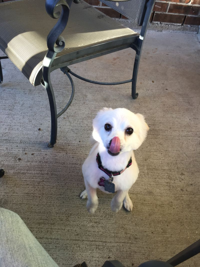 Look at that snazzy haircut.